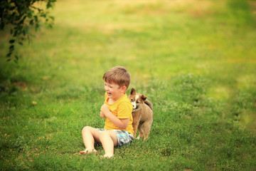 cheerful boy in a yellow t-shirt with a puppy