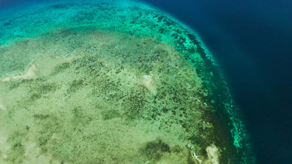 Tropical island and sandy beach surrounded by atoll and coral reef with turquoise water, aerial drone. Tropical island and coral reef. Summer and travel vacation concept, Camiguin, Philippines