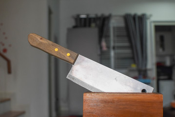 Knife for cooking with knife storage wood