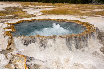Geyser and hot spring in old faithful basin in Yellowstone National Park in Wyoming