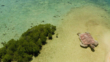 Tropical island with sand bar surrounded by coral reef and blue sea in honda bay, aerial view....