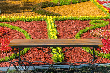 Landscape View of a Beautiful Landscape Garden with a Freshly Mowed Lawn and Flowerbeds in Bloom. Bench near the beautiful flower beds in the park