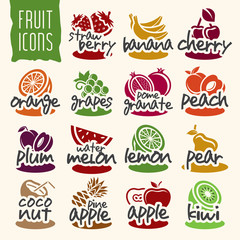 Fototapeta na wymiar Ready design vector fruit icon set