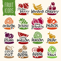 Ready design vector fruit icon set