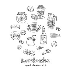 Kombucha homemade tea collection. Vector hand drawn illustration