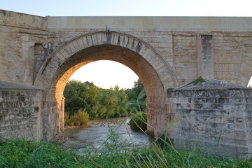 Fototapeta na wymiar Under The Roman bridge of Cordoba, Spain.