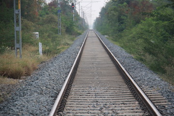 Fototapeta premium railway in forest