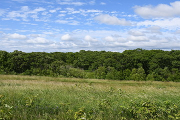 北海道　石狩川の畔で