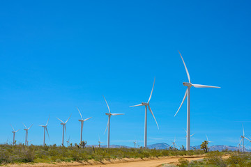 Windmill farm beautiful in spring time with green grasses Joshus trees Castus and colourful flowers with blue sky at Mojave windmill farm California