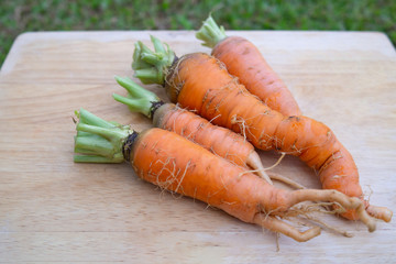 Fresh harvested carrots placed on a wooden cutting board