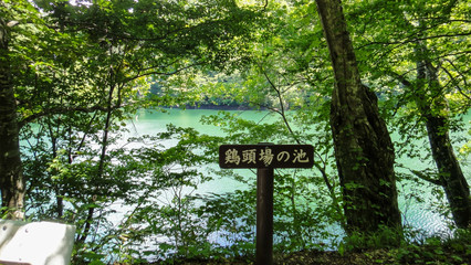 Juniko Twelve Lakes in the Shirakami-Sanchi mountainous area. A UNESCO World Heritage Site in the Tohoku region. Aomori Prefecture, Japan