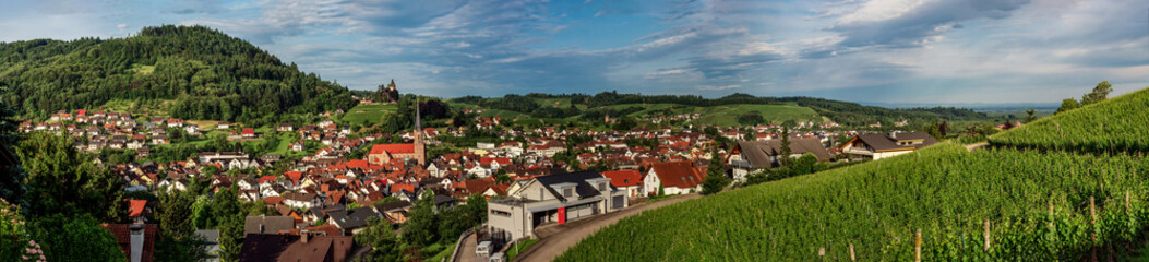 Fototapeta na wymiar Wide hires panoramic landscape view of green valley in Schwartzwald.