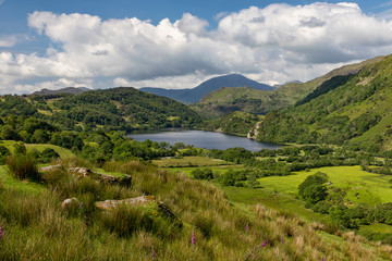 Llyn Gwynant