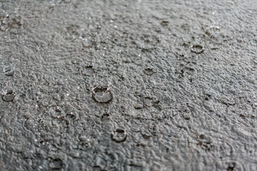 rain gray background. Drops on a puddle