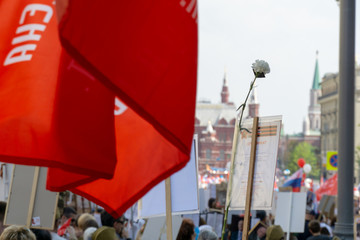 MOSCOW, RUSSIA - MAY 9, 2019: Immortal regiment procession in Victory Day.