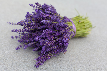 Fresh purple lavender bouquet