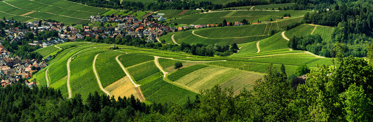 Fototapeta na wymiar Wide hires panoramic landscape view of Black Forest vineyard valley, aerial