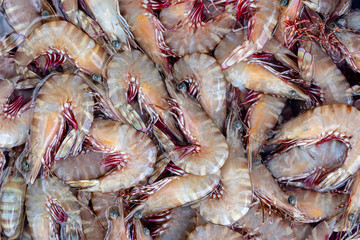 Sea fresh shrimps at street market in Thailand. Seafood concept.