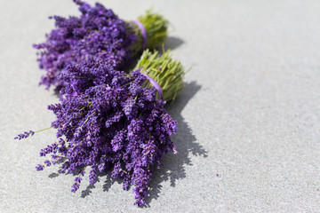 Two fresh purple lavender bouquets
