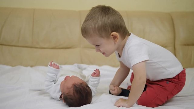 Funny little boy caress and kiss newborn baby,happy blond hair toddler