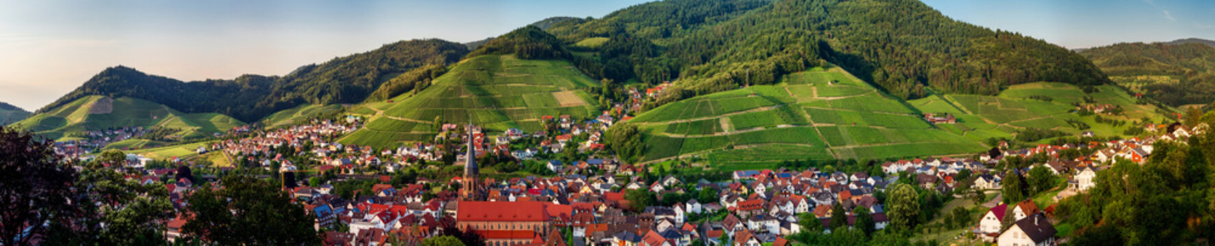 Wide hires panoramic landscape view of green valley in Schwartzwald.