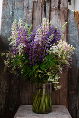 Fototapeta na wymiar bouquet of wild lupins
