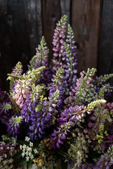 bouquet of wild lupins