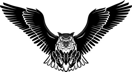 Owl Wing Span