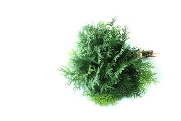 ヒノキのグリーンブーケでエコロジー・イメージ