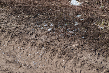 Trash on the agriculture field. Ecology problem and big harm to nature.