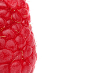 Raspberry closeup isolated on white background with copy space