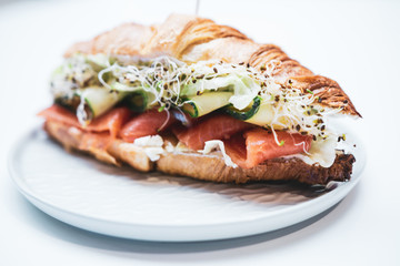 Sandwich with salmon on a white background
