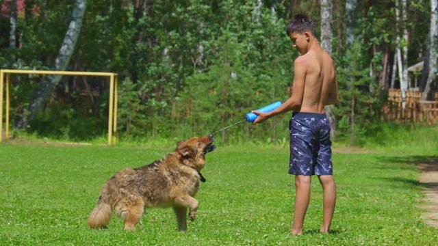 Teen boy watering a dog from a water gun in the park on the lawn. Slow motion.