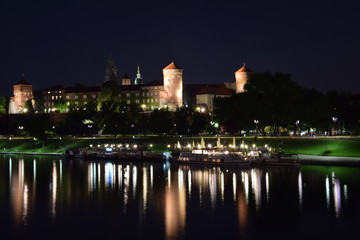 Fototapeta na wymiar The catle of Krakow