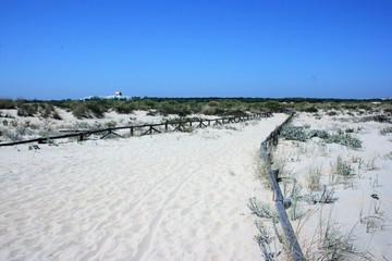 wooden road to the beach