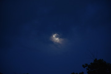 full moon in the sky