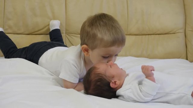 toddler play with newborn brother, child looking, caressing, kissing baby