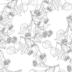 Seamless pattern with linden branches on white background. Line art.