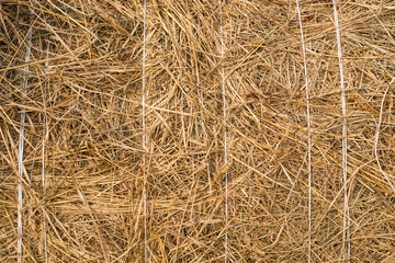 Closeup of hay bale tied with strings
