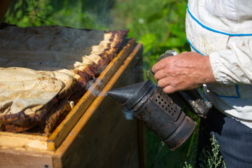 beekeeper in action