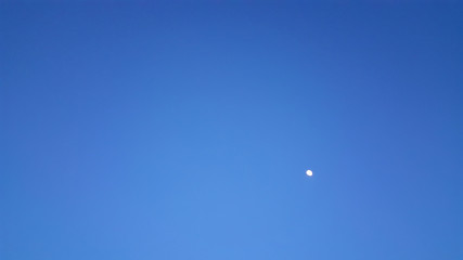 blue sky and moon