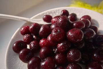 organic cherry in a plate with water drops