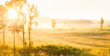Glowing sunrise shines onto the mist and golden grassland.