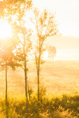 Plakat Glowing sunrise shines onto a grassland.