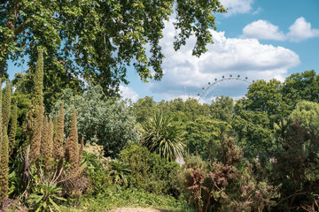 Park and Observation Wheel