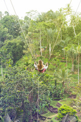 Girl riding on a swing over the rice terraces in Bali