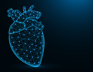 Heart with aorta and veins low poly model, human organs abstract graphics, anatomy polygonal wireframe vector illustration on dark blue background