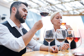 Young confident winery expert tasting new sort of red wine