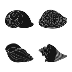 Vector design of nature and ocean logo. Set of nature and mollusk stock symbol for web.