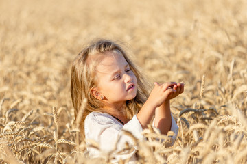 little blonde girl stands in a wheat field in summer and smiles